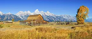 Barn Prints: Moulton Barn, Mormon Row, Historic District in Autumn