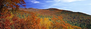 Moultonborough