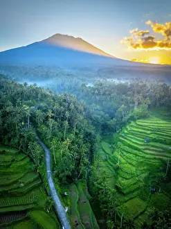 Crop Prints: Mount Agung volcano (highest mountain in Bali) and rice terraces, Bali, Indonesia