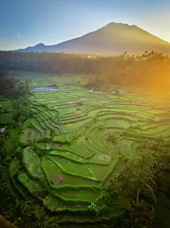 Crop Prints: Mount Agung volcano (highest mountain in Bali) and rice terraces, Bali, Indonesia