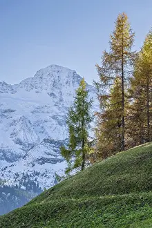Bern Prints: Mount Breithorn, Murren, Berner Oberland, Switzerland