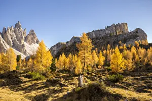 Mount Croda da Lago and Lastoni di Formin, Giau Pass, Belluno district, Veneto, Italy