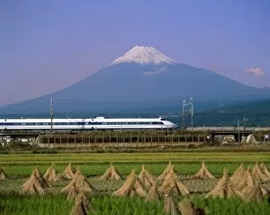 Images Dated 12th February 2008: Mount Fuji / Bullet Train & Rice Fields, Fuji, Honshu, Japan