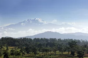 Images Dated 2nd August 2013: Mount Kilimanjaro with trees in front, from Tanzania