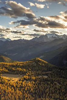 Larch Prints: Mount Marmolada at sunset, Rocca Pietore, Belluno district, Veneto, Italy