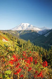 Road Trip Prints: Mount Rainier, Mount Rainier National Park, Washington, USA