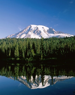 Mount Rainier National Park / Mount Rainier with Snow