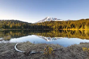 Images Dated 2nd May 2019: Mount Rainier reflecting in Reflections Lake, Mount Rainier National Park, Washington