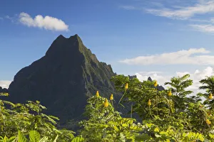 Images Dated 19th October 2015: Mount Rotui, Mo orea, Society Islands, French Polynesia