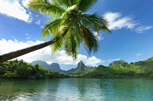Society Islands Prints: Mount Rotui, Mo'orea, Society Islands, French Polynesia