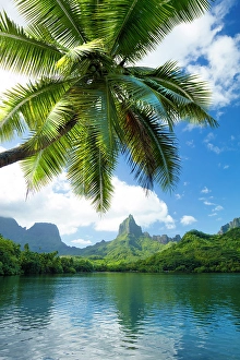 Society Islands Prints: Mount Rotui, Mo'orea, Society Islands, French Polynesia