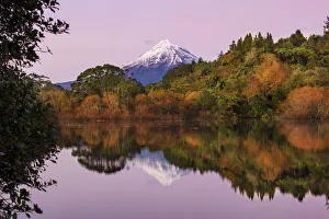 Images Dated 1st November 2019: Mount Taranaki reflections from Lake Mangamahoe, New Plymouth