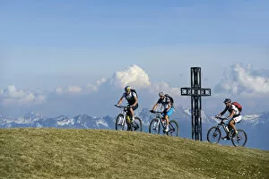 Images Dated 4th February 2015: Mountain biker on Monte Roen, Wine Route, Tramin, South Tyrol, Italy, Europe