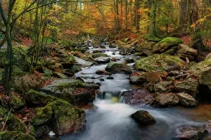 Autumnal Prints: Mountain creek Ilse flows through autumnally coloured deciduous forest