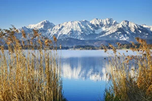 Grass Gallery: Mountain impression Allgaeu Alps at Hopfensee - Germany, Bavaria, Swabia, Ostallgau