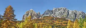 Cortina Dampezzo Prints: Mountain impression autumnal larch forest at Tofana de Rozes - Italy, Veneto, Belluno