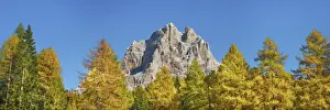 Monte Pelmo Prints: Mountain impression Monte Pelmo and larches in autumn - Italy, Veneto, Belluno