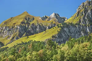 Mixed Forest Prints: Mountain impression at San Lorenzo in Banale - Italy, Trentino-Alto Adige, Trentino