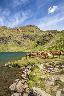 Pyrenees Prints: Mountain lake, Estanys de Tristaina, Arcalis, Andorra