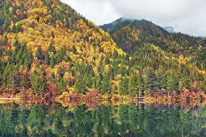 Mixed Forest Prints: Mountain lake and forest in autumn - China, Sichuan, Jiuzhaigou, Arrow Bamboo Lake