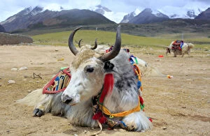 Tibet Gallery: Mountain landscape, Lhasa Prefecture, Tibet, China
