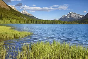 Images Dated 4th March 2021: Mountain landscape at Waterfowl Lake - Canada, Alberta, Banff National Park