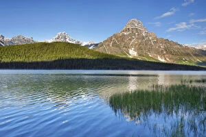 Images Dated 4th March 2021: Mountain landscape at Waterfowl Lake with Mount Chephren - Canada, Alberta