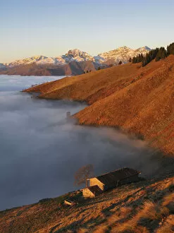 Fogs Collection: Mountain pasture over the clouds at sunrise (Bielmonte, Veglio, Biella province, Piedmont