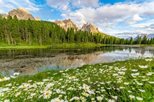Grass Collection: Mountain reflections at Lago Antorno. Veneto, Belluno, Sesto Dolomites, Italy