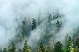 Slopes Prints: Mountain slopes with low clouds, Juneau, Alaska, USA