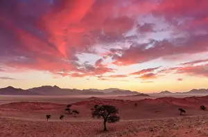 Mountains and sand dunes at sunset, Namib Rand Nature Reserve, Namib Desert, Namibia