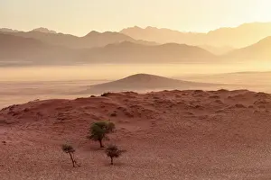 Sand Dunes Prints: Mountains and sand dunes at sunset, Namib Rand Nature Reserve, Namib Desert, Namibia