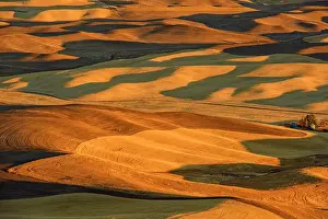 Harvest Prints: Mowing and harvest patterns in the Palouse landscape at dawn in late summer