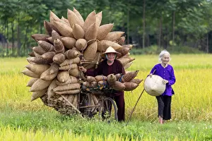 Hanoi Prints: Mr Luong Son Bac, legendary maker of traditional bamboo fish traps