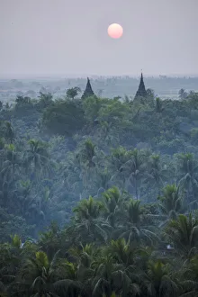 Mrauk-U, Rakhine state, Myanmar. Stupas at sunset with palm trees forest in the foreground