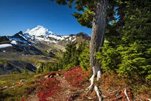 Mt. Baker in Autumn, Mt. Baker-Snoqualmie National Forest, Washington, USA