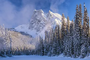 Mt. Burgess & Snow-covered Pine Trees, Yoho National Park, British Columbia, Canada