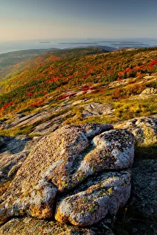 Mt. Cadillac in Autumn, Acadia National Park, Maine, USA