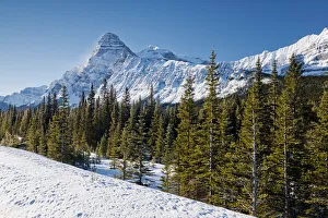 Mt. Cephron, Banff National Park, Alberta, Canada