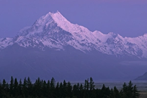 Southern Alps Prints: Mt. Cook, New Zealand