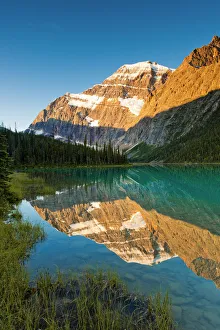 Images Dated 30th November 2016: Mt. Edith Cavell Reflecting in Cavell Lake, Jasper National Park, Alberta, Canada