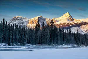Pine Trees Prints: Mt. Edith Cavell in Winter, Jasper National Park, Alberta, Canada