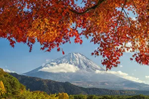 Mount Fuji Gallery: Mt. Fuji in Autumn, Fujinomiya, Shizouka, Honshu, Japan