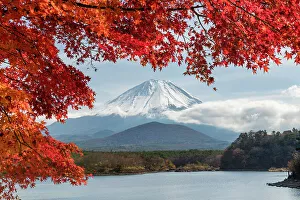 Mt. Fuji Framed by Red Maple Tree, Lake Shoji, Fujikawaguchiko, Yamanashi Prefecture, Japan