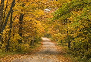 Mt. Greylock reservation