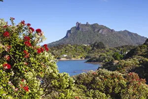 South Pacific Gallery: Mt. Manaia, Whangarei Heads, Whangarei, Northland, North Island, New Zealand