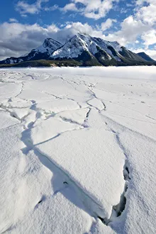 Abraham Lake Gallery: Mt. Michener & Frozen Abraham Lake, Kooteney Plains, Alberta, Canada