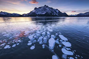 Abraham Lake Gallery: Mt. Michener & Frozen Bubbles in Abraham Lake at Sunrise, Kootenay Plains, Alberta