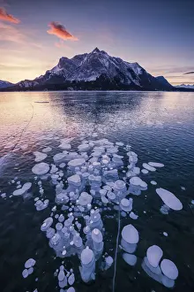 Mt. Michener & Frozen Bubbles in Abraham Lake at Sunrise, Kootenay Plains, Alberta