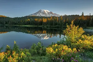 Rainier Prints: Mt. Rainier reflected in Reflection Lakes with Wildflowers at front